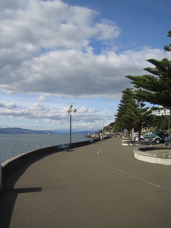 IMG_2372.JPG - Oriental Bay