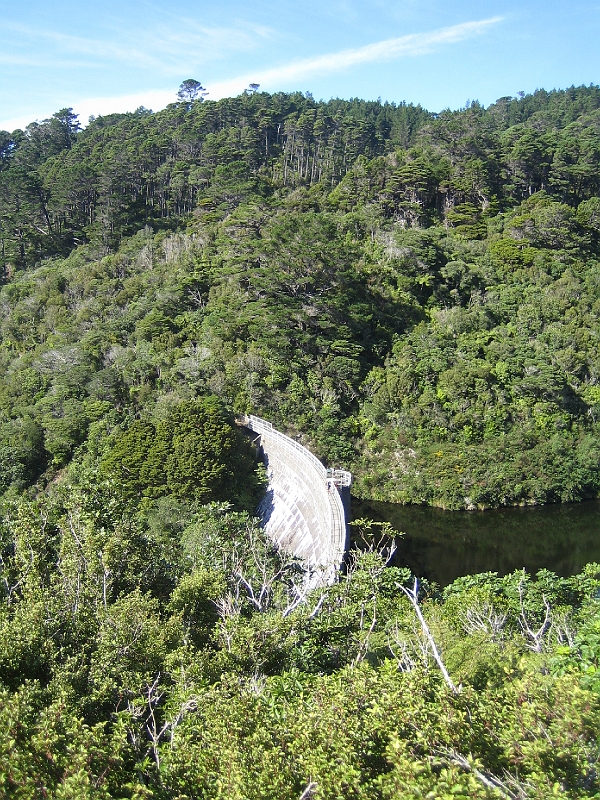 IMG_2387.JPG - Karori