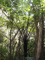 IMG_2395