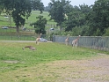 IMG_2543