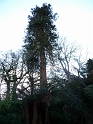 P1000208