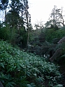 P1000211