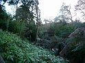 P1000212