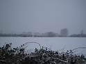 IMG_2808