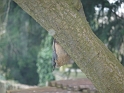 P1000290