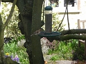 P1000291