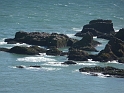 P1000300