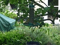 P1000329