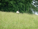 P1000337