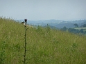 P1000338