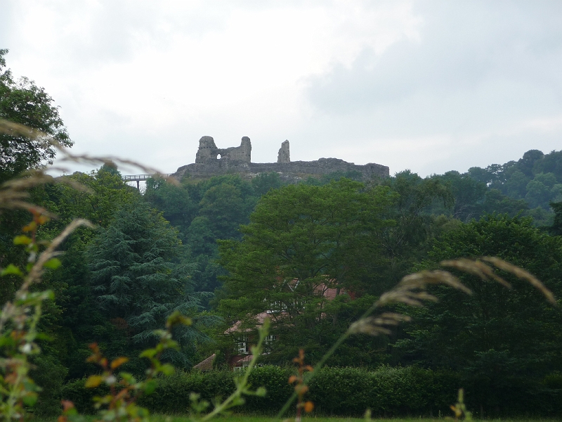 P1000365.JPG - Montgomery: castle from northeast