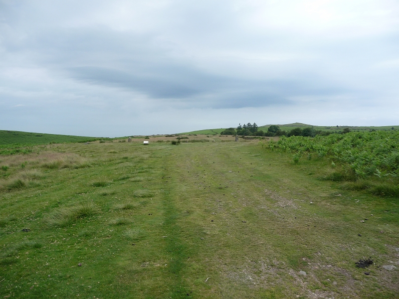 P1000372.JPG - Mitchell's Fold stone circle (looking north)