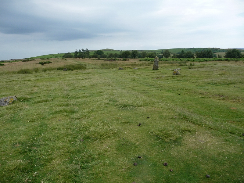 P1000380.JPG - Mitchell's Fold stone circle