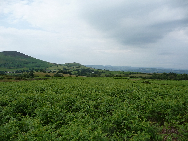 P1000388.JPG - Corndon Hill (part of)