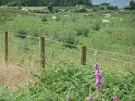 P1000367