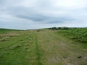 P1000372