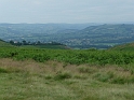 P1000381