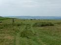 P1000386