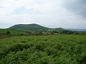 P1000387