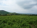 P1000388