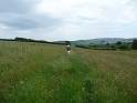 P1000391