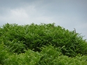 P1000404