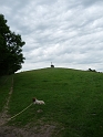 P1000408