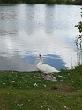 P1000469