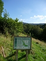P1000488