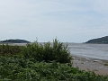 P1000501