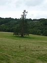 P1000518