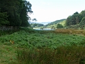 P1000524