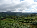 P1000531