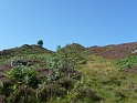 P1000534