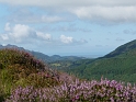 P1000541