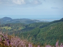 P1000542