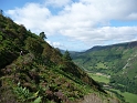P1000553