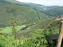 P1000558
