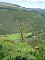 P1000559