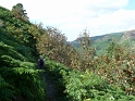 P1000560