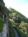 P1000562
