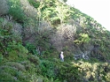 P1000563