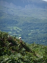 P1000570