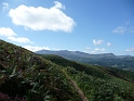 P1000572