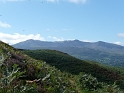 P1000573