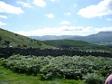 P1000577
