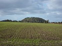 P1000007