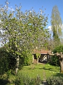 IMG_3145