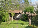 IMG_3147