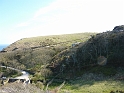 P1000115